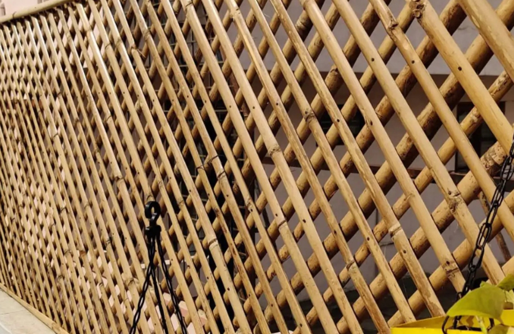 Bamboo Fencing