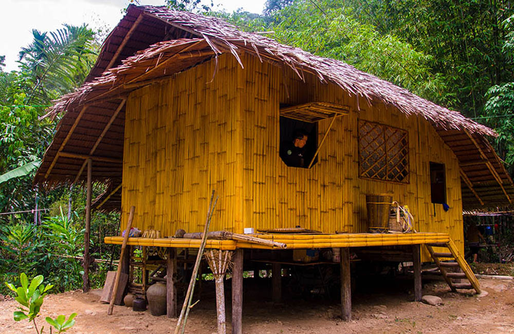 Bamboo Hut